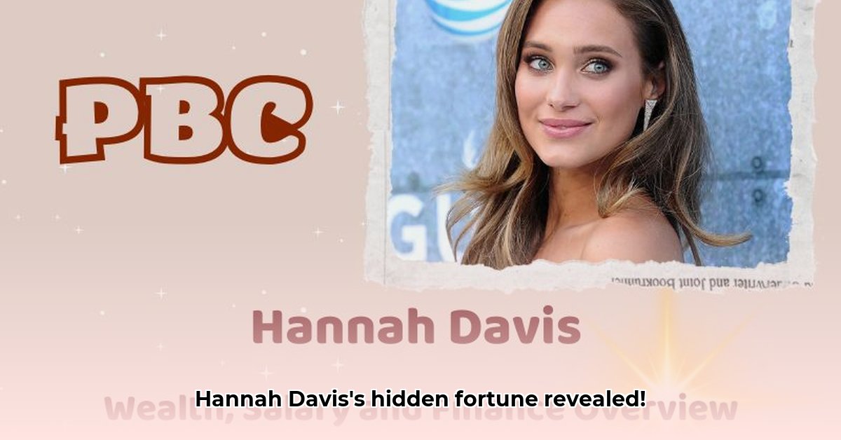 hannah-davis-model-net-worth